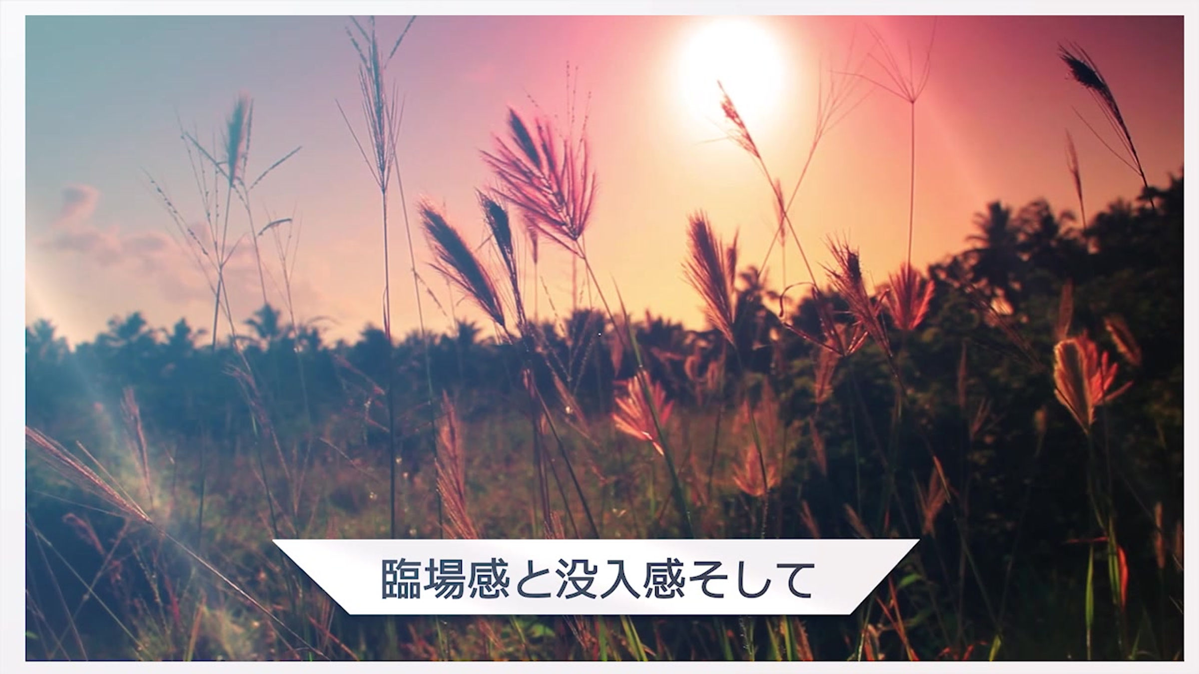 VRセラピー